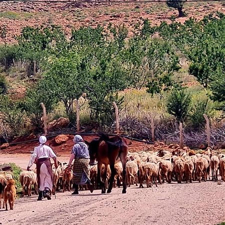 Ferme D"Hote Lala Fatima Ain Leuh Ngoại thất bức ảnh