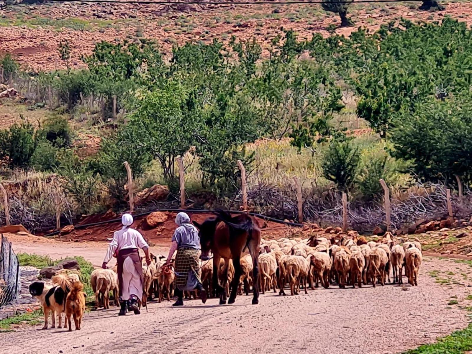 Ferme D"Hote Lala Fatima Ain Leuh Ngoại thất bức ảnh